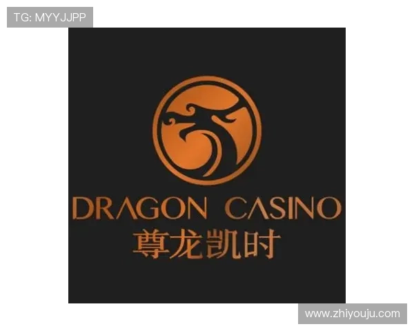 尊龙网址集团官网下载，获取安全放心的在线登录平台