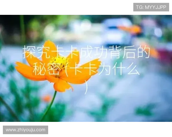 开云电子娱乐官方：谁是行业领跑者探秘其成功背后的秘密