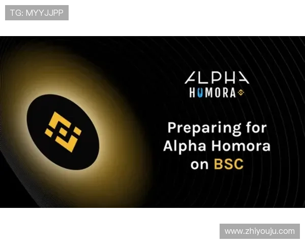 尊龙z6官网入口最新更新版本详细介绍及安全登录方法