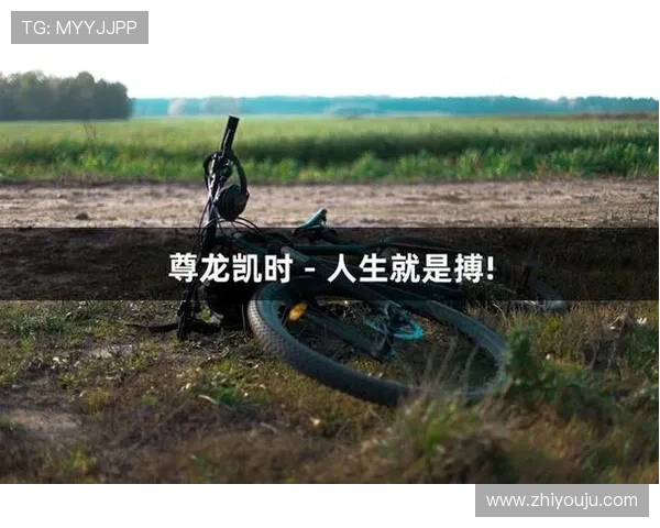 中国尊龙凯时高端玩家专属攻略深度解析高级技巧提升竞技水平实现突破 中国尊龙凯时高端玩家专属攻略深度解析高级技巧提升竞技水平实现突破