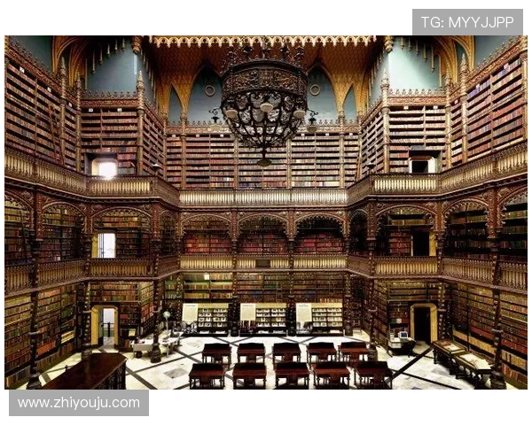 D88尊龙手机版最新玩法介绍与操作指南,助你轻松畅玩尊龙游戏体验 D88尊龙手机版最新玩法介绍与操作指南,助你轻松畅玩尊龙游戏体验