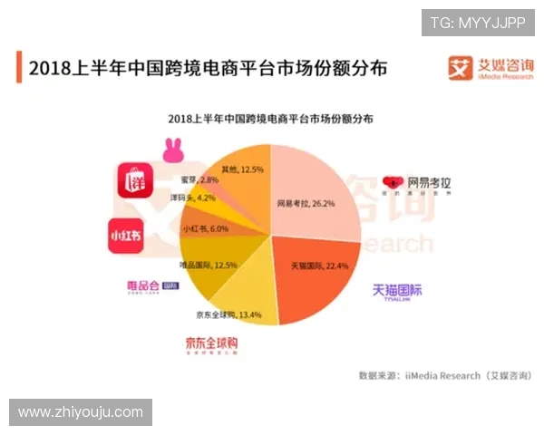 如何通过尊龙代言提升AG旗舰平台在行业中的竞争优势与市场份额